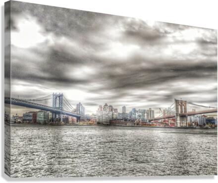 V261 Canvas Print
