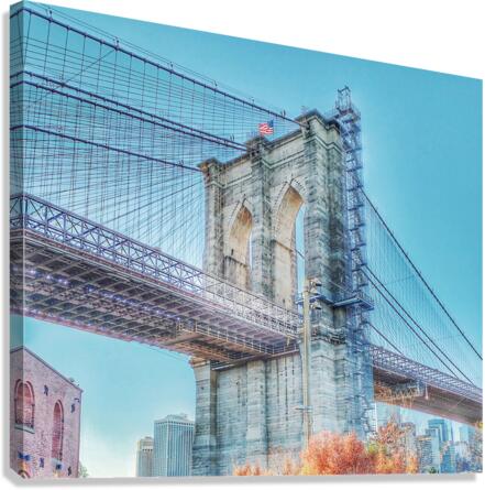 V263 Canvas Print