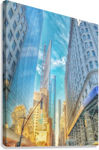 V264 Canvas Print