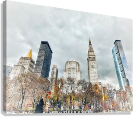 V271 Canvas Print