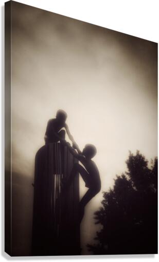 V272 Canvas Print
