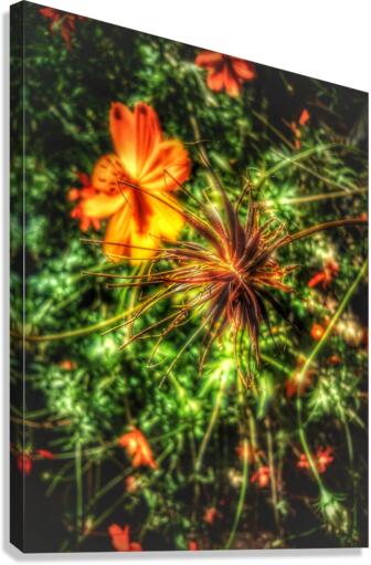 V276 Canvas Print