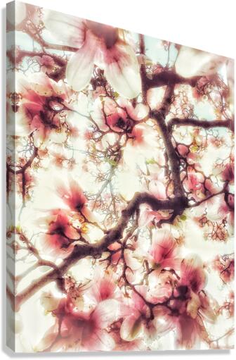 V277 Canvas Print