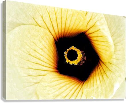 V282 Canvas Print