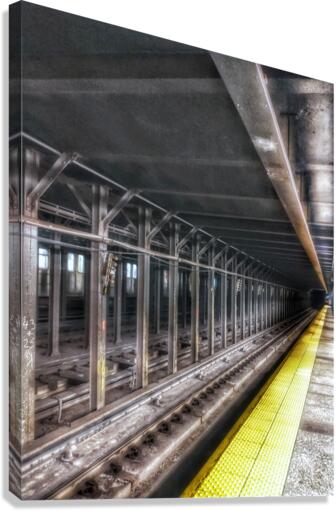 V289 Canvas Print