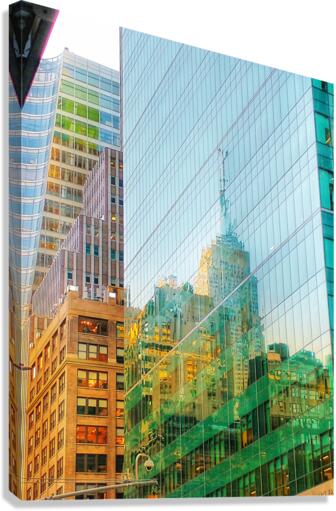V290 Canvas Print