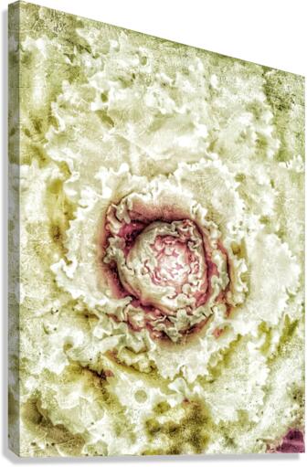 V295 Canvas Print