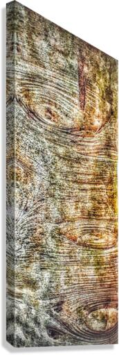 V300 Canvas Print