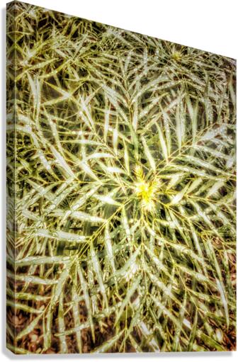 V302 Canvas Print