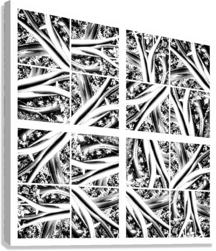 V305 Canvas Print