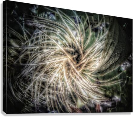 V315 Canvas Print