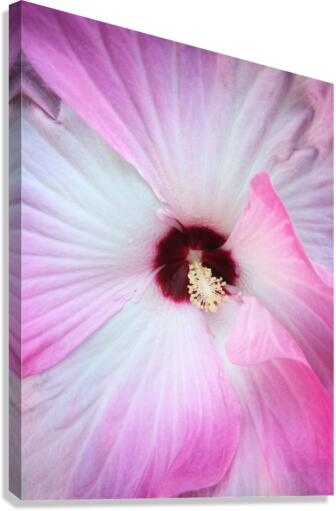 V317 Canvas Print
