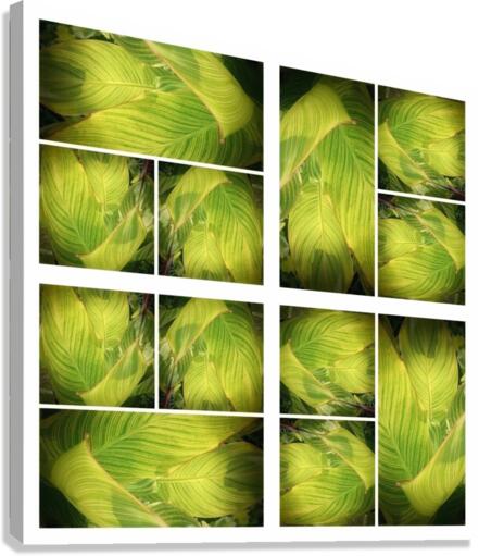 V318 Canvas Print