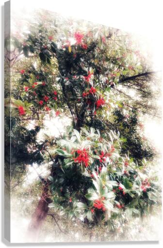 V323 Canvas Print