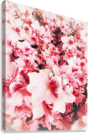 V325 Canvas Print