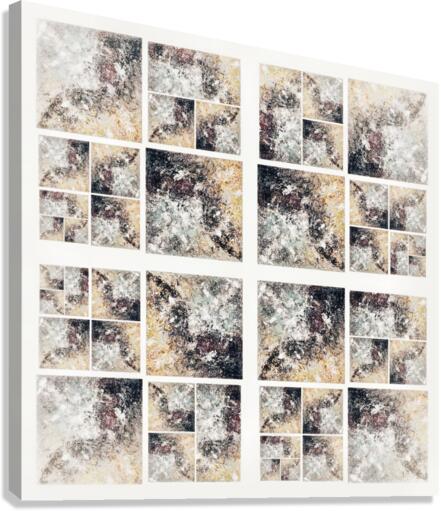 V326 Canvas Print