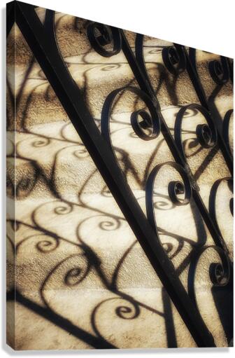 V327 Canvas Print