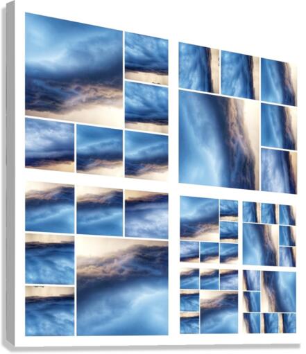 V331 Canvas Print