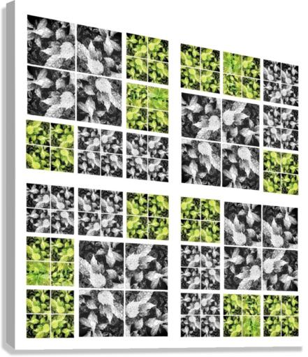 V333 Canvas Print