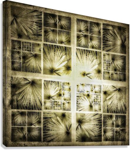 V334 Canvas Print