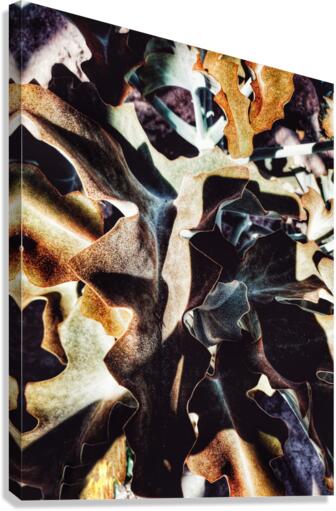 V335 Canvas Print