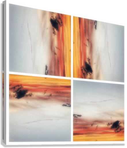 V336 Canvas Print