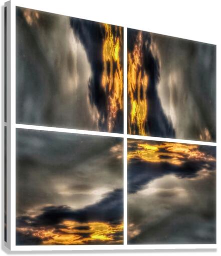 V337 Canvas Print