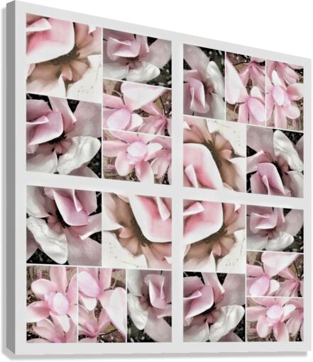 V339 Canvas Print