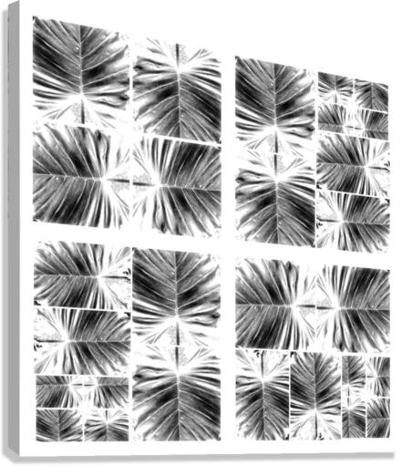 V341 Canvas Print