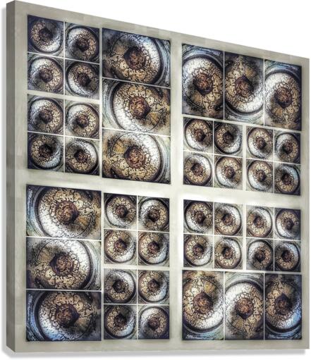 V343 Canvas Print