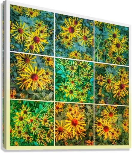 V344 Canvas Print
