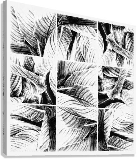 V346 Canvas Print