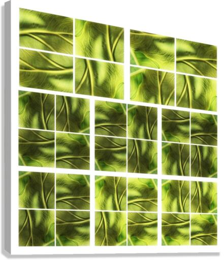 V347 Canvas Print