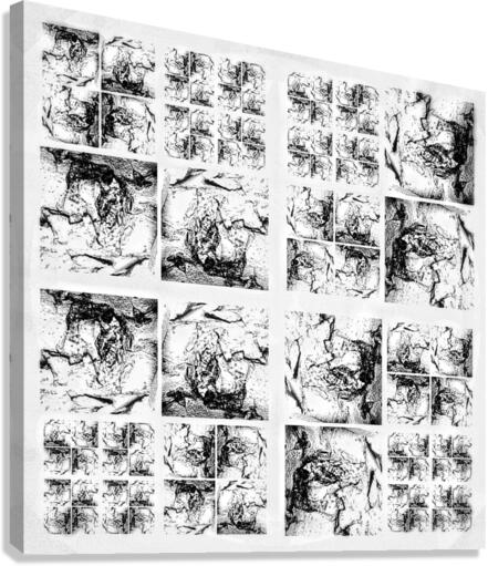 V348 Canvas Print