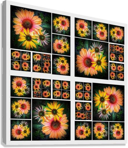 V349 Canvas Print