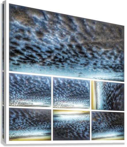 V350 Canvas Print
