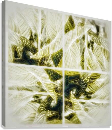 V351 Canvas Print