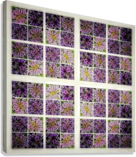 V352 Canvas Print