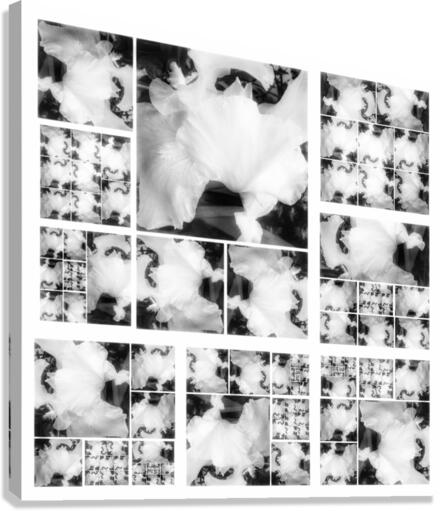 V353 Canvas Print