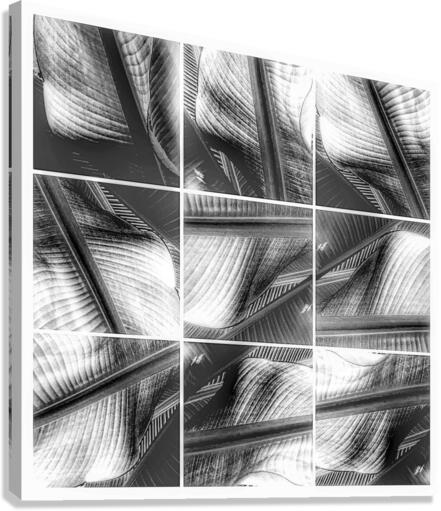 V355 Canvas Print