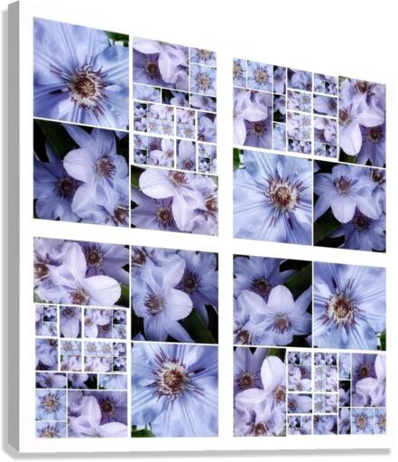 V356 Canvas Print