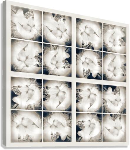 V357 Canvas Print