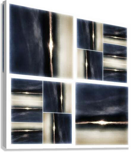 V358 Canvas Print