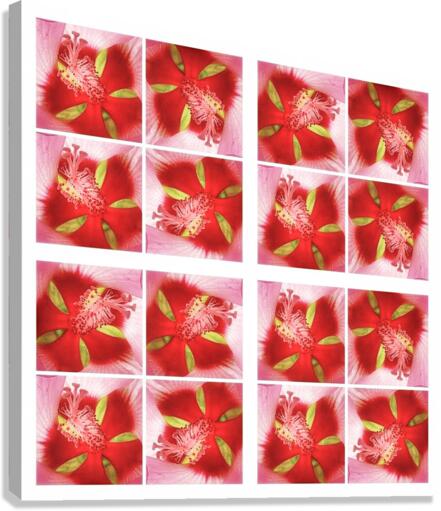 V359 Canvas Print