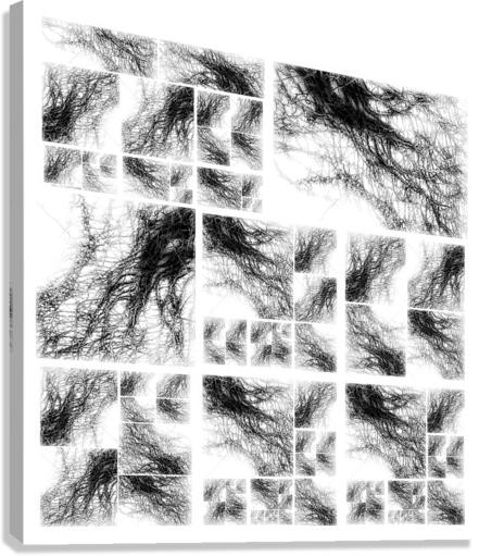 V360 Canvas Print