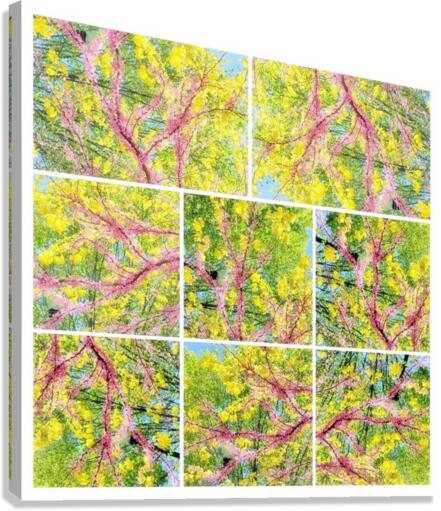 V363 Canvas Print