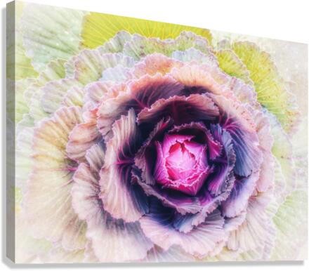 V364 Canvas Print