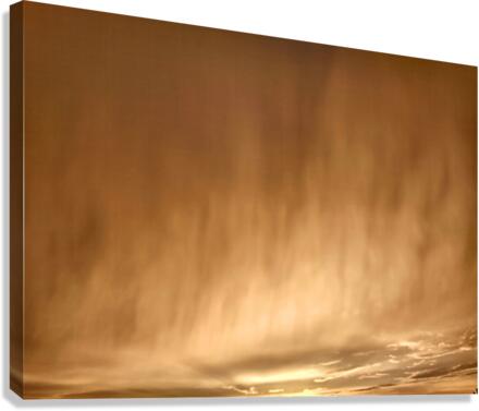 V365 Canvas Print