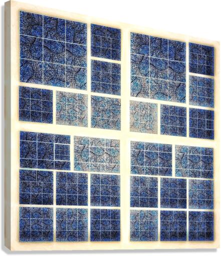 V366 Canvas Print