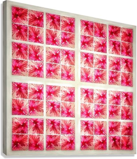 V367 Canvas Print